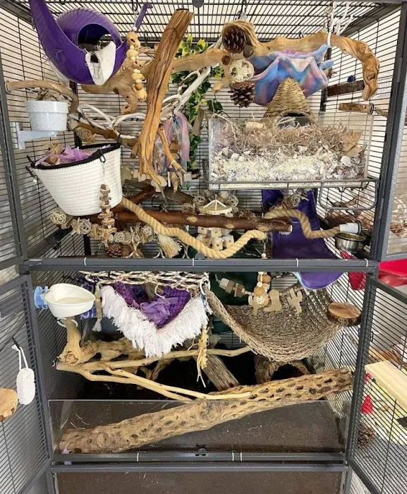 Pet Barn Picture 5