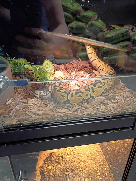 Pet Barn Picture 4