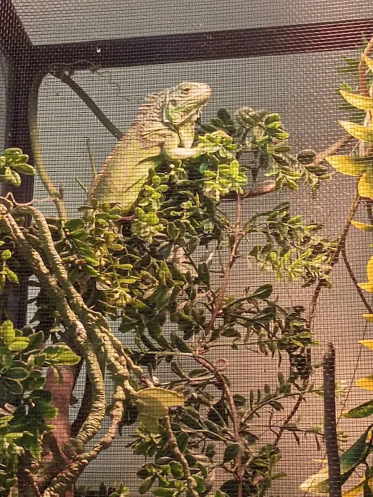 Pet Barn Picture 7
