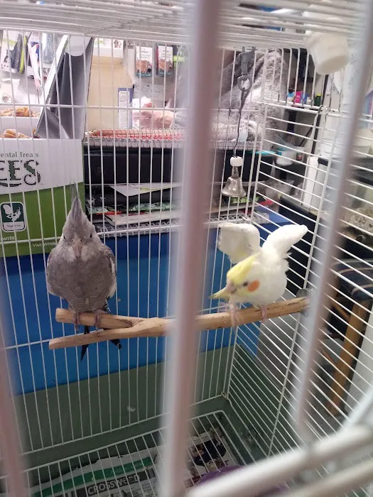 Pet Barn Picture 8