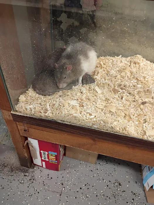 Pet Barn Picture 2