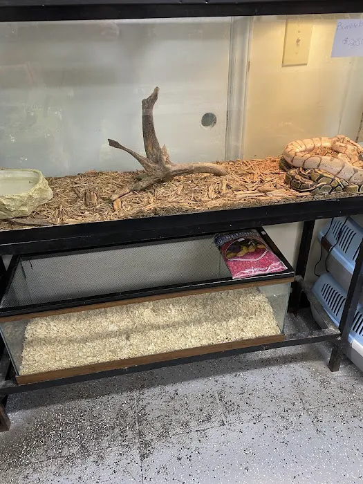 Pet Barn Picture 6