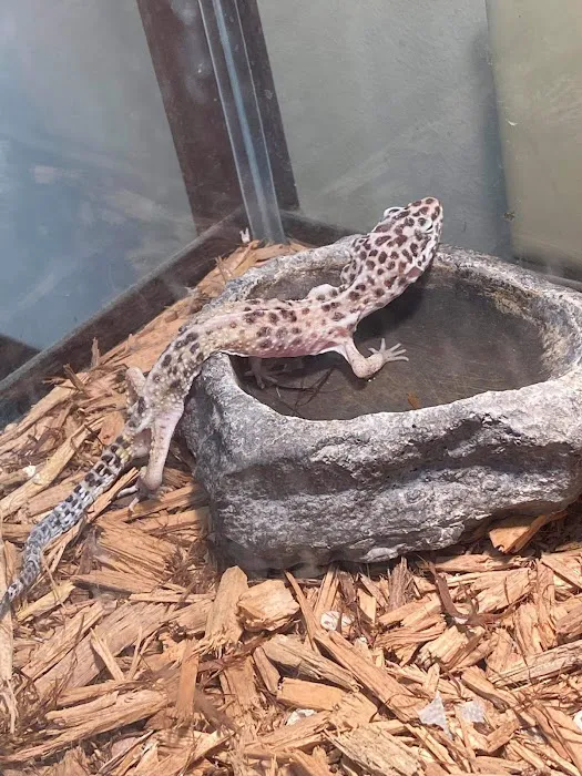 Pet Barn Picture 9