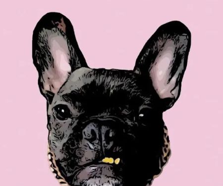 Dawg Boutique