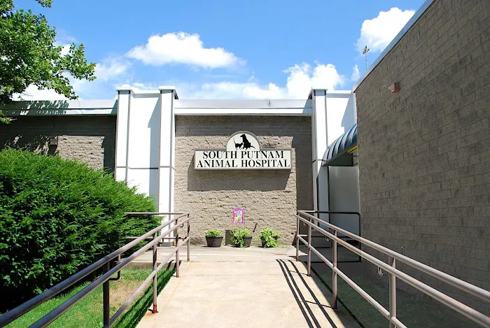 South Putnam Animal Hospital Picture 5