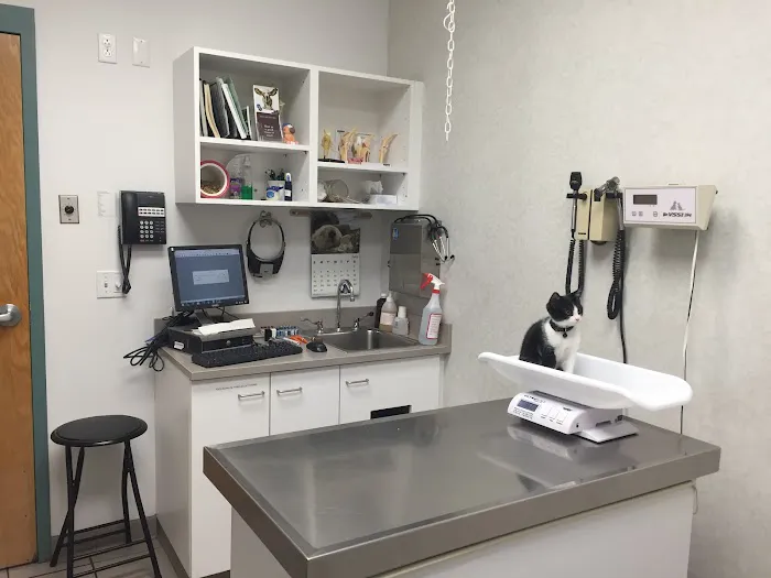 South Putnam Animal Hospital Picture 7