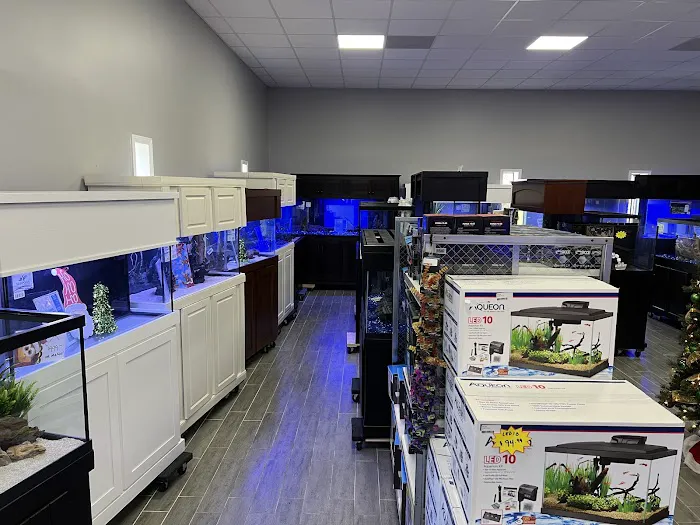 Triad Aquatic Services, LLC. Picture 4