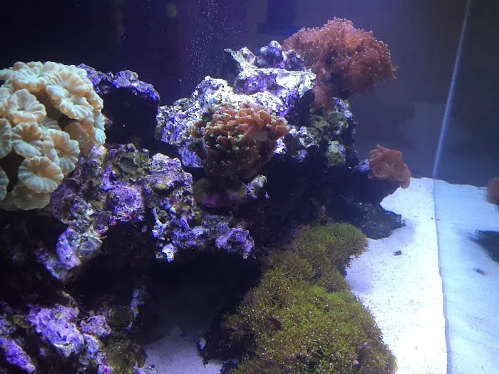 Triad Aquatic Services, LLC. Picture 10