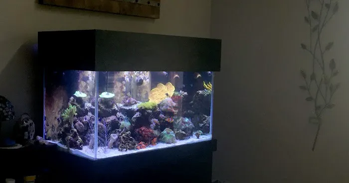 Triad Aquatic Services, LLC. Picture 9