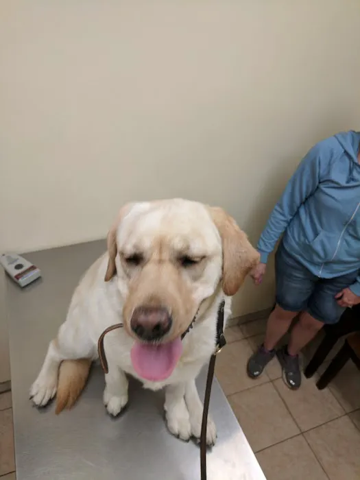 Baldwin Place Animal Hospital Picture 1