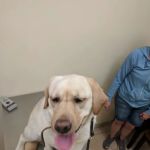 Baldwin Place Animal Hospital