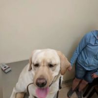 Baldwin Place Animal Hospital ico