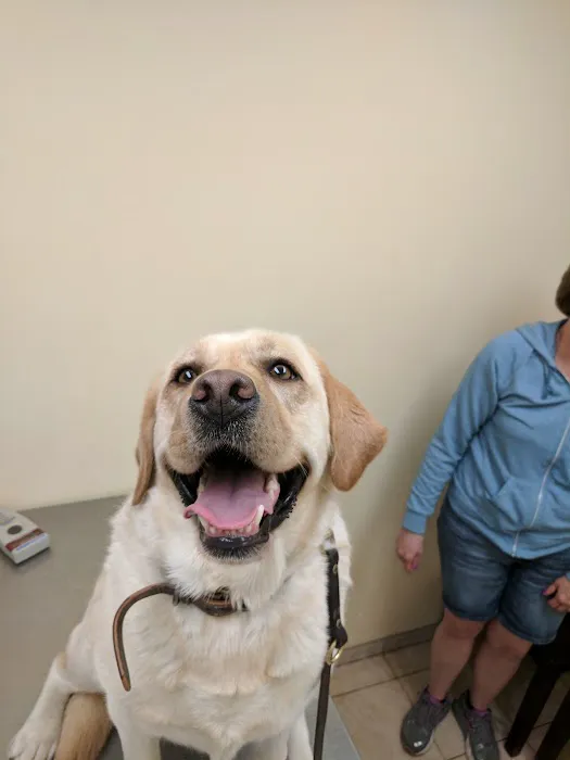 Baldwin Place Animal Hospital Picture 4