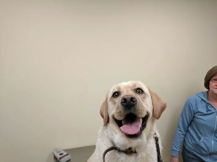 Baldwin Place Animal Hospital Picture 3