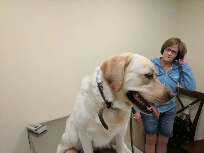Baldwin Place Animal Hospital Picture 5