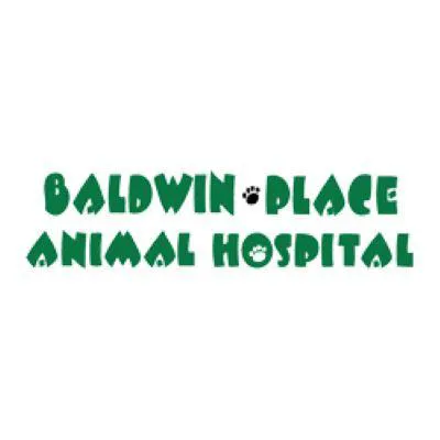 Baldwin Place Animal Hospital Picture 7