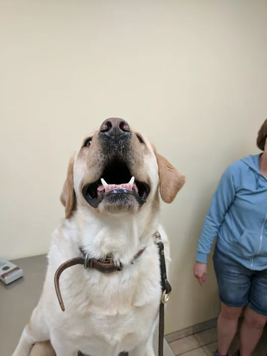 Baldwin Place Animal Hospital Picture 6