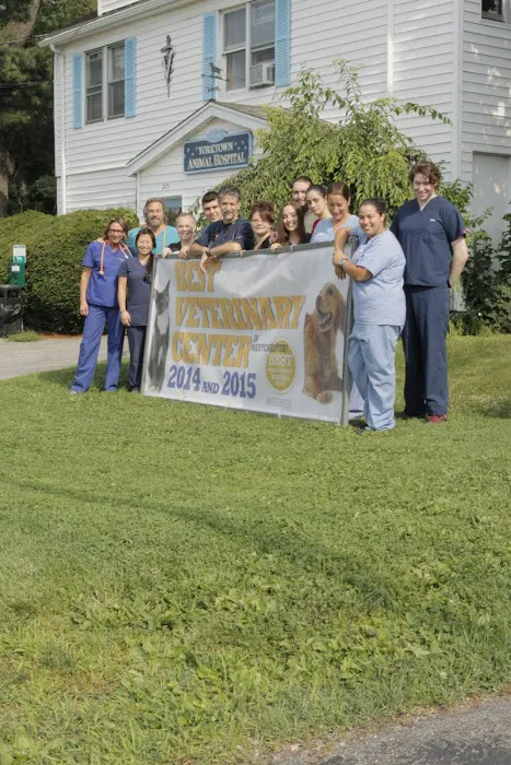Yorktown Animal Hospital Picture 1