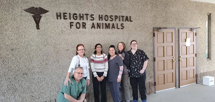 Heights Hospital For Animals Picture 5