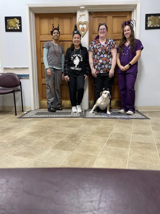Heights Hospital For Animals Picture 10