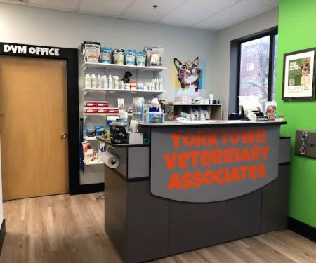 Yorktown Veterinary Associates