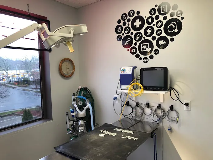 Yorktown Veterinary Associates Picture 2