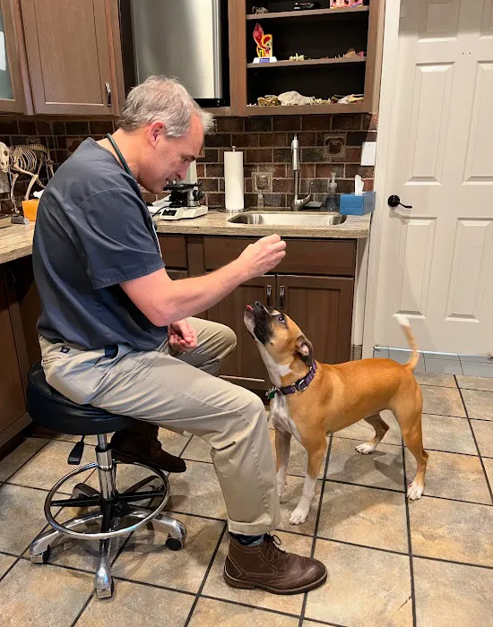 Mahopac Animal Hospital Picture 6