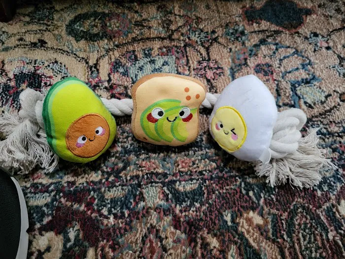Urban Pet Company, LLC Picture 6