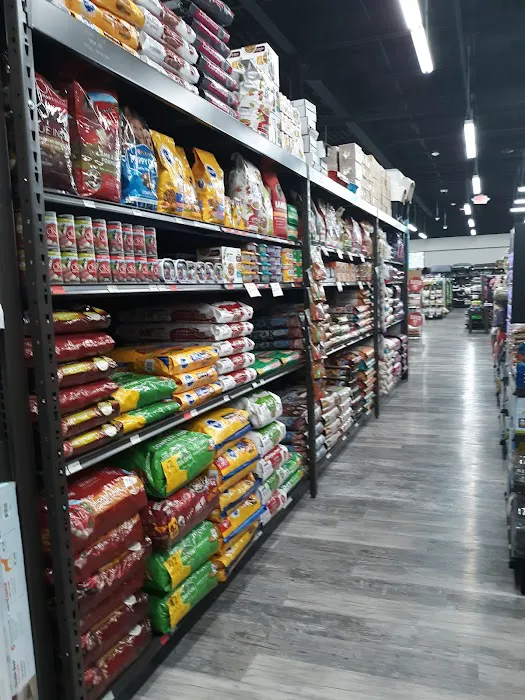 Pet Supermarket Picture 3