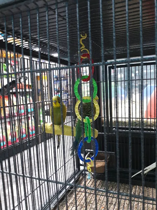 Pet Supermarket Picture 4