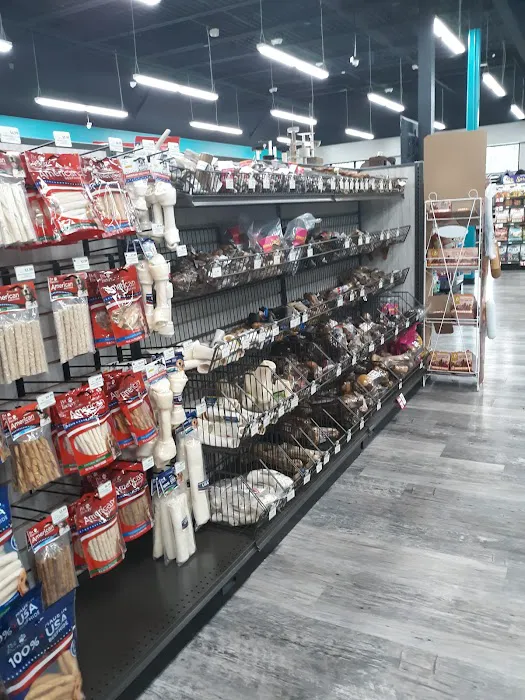 Pet Supermarket Picture 5
