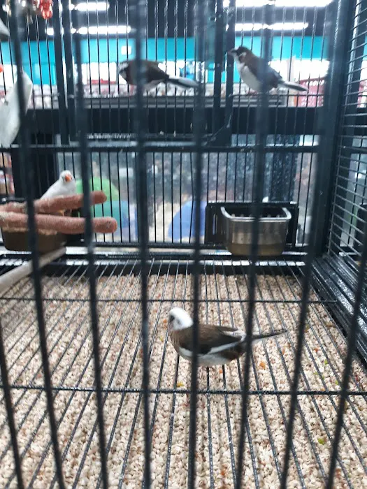 Pet Supermarket Picture 7