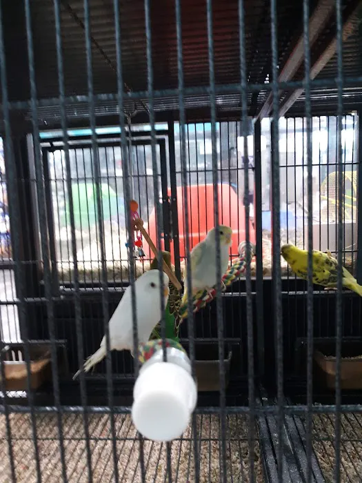 Pet Supermarket Picture 1