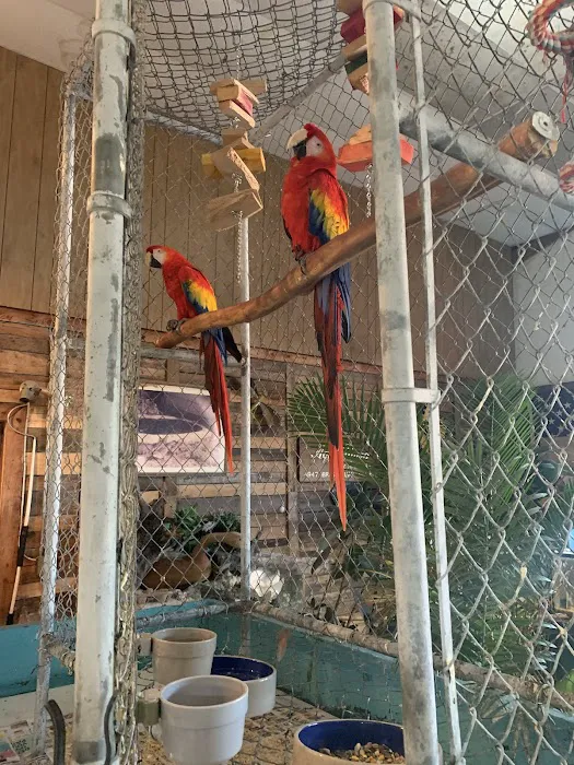 Aqua-Rama Pet Center Picture 9