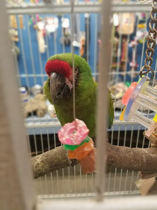 Aqua-Rama Pet Center Picture 1