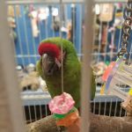Aqua-Rama Pet Center