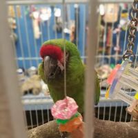 Aqua-Rama Pet Center ico