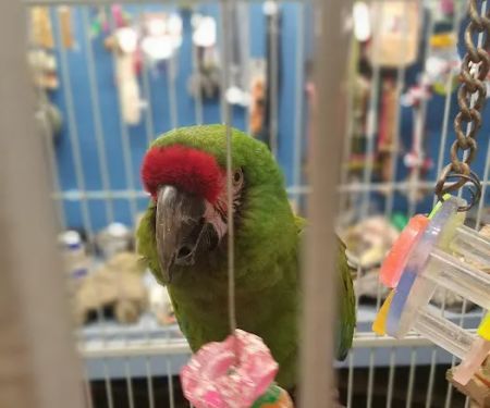 Aqua-Rama Pet Center