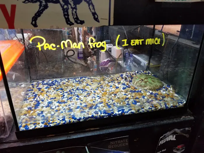 Aqua-Rama Pet Center Picture 7