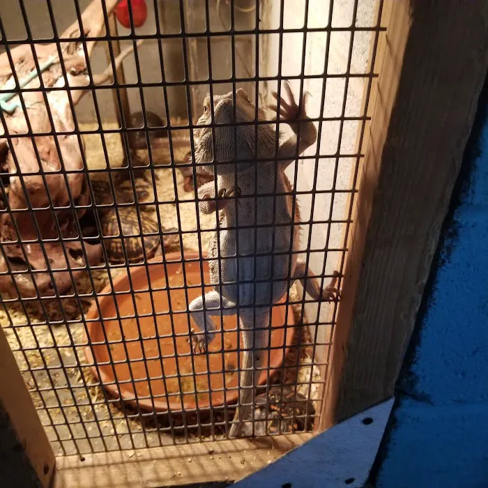 Aqua-Rama Pet Center Picture 5