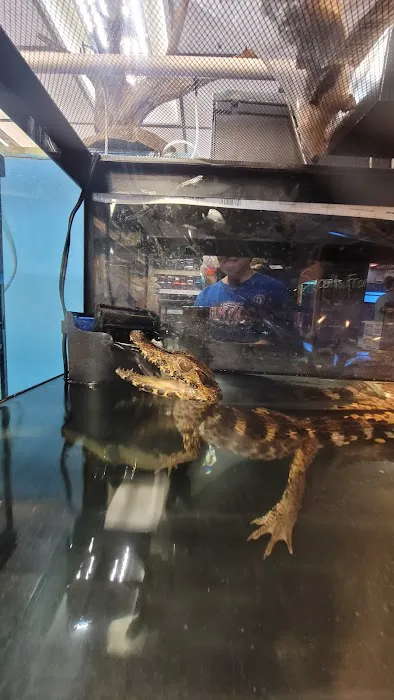 Aqua-Rama Pet Center Picture 4