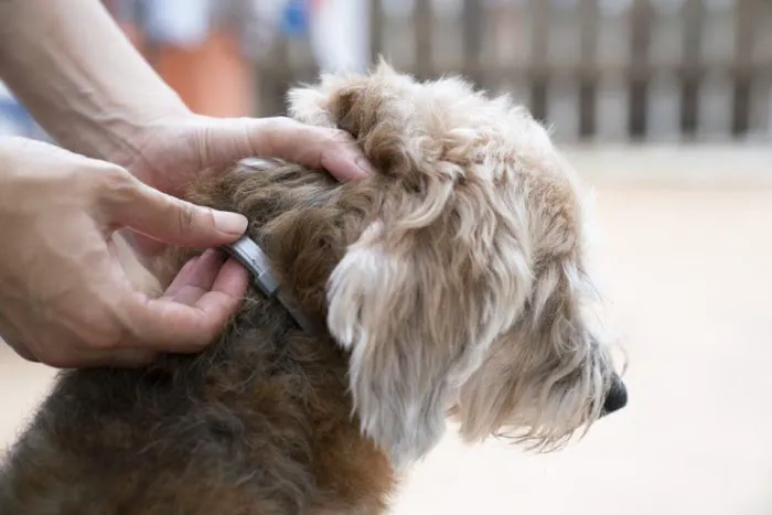 Croton Animal Hospital Picture 5