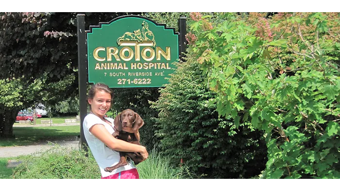 Croton Animal Hospital Picture 1