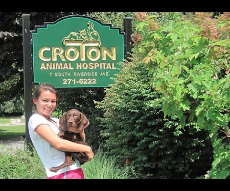 Croton Animal Hospital