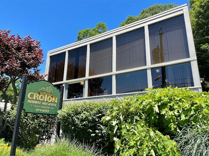 Croton Animal Hospital Picture 2