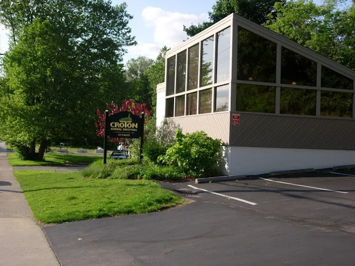 Croton Animal Hospital Picture 3