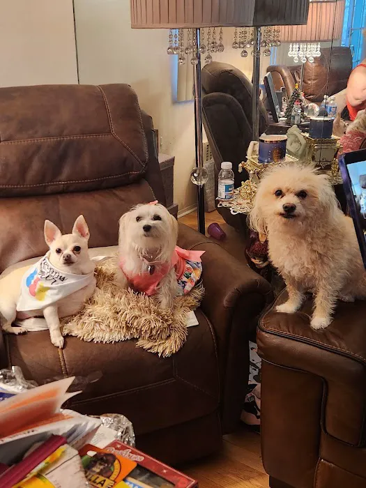 Family Veterinary Care Picture 1