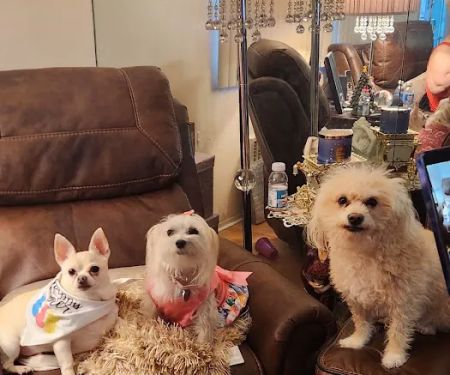 Family Veterinary Care