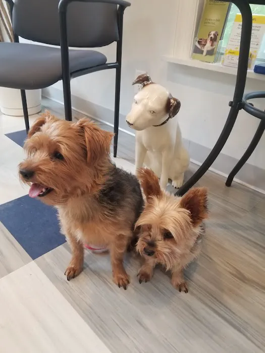 Family Veterinary Care Picture 8