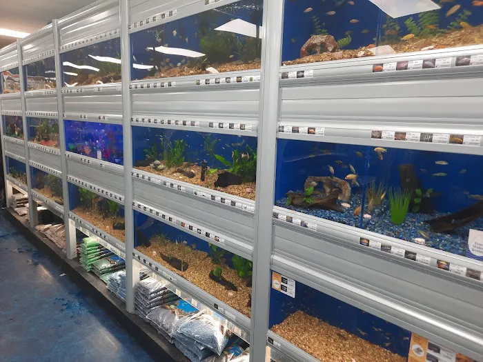 Pet Supermarket Picture 5